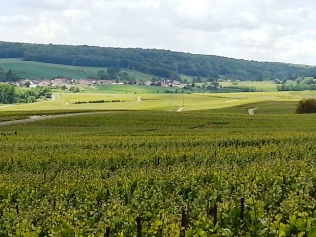 Champagne HAZARD-DEVAVRY - Vue de saint Eugène